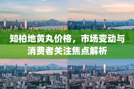 知柏地黄丸价格，市场变动与消费者关注焦点解析