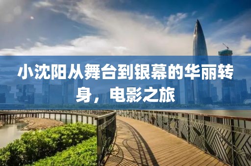 小沈阳从舞台到银幕的华丽转身，电影之旅