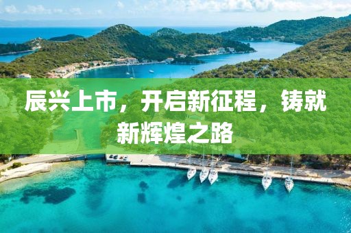 辰兴上市，开启新征程，铸就新辉煌之路