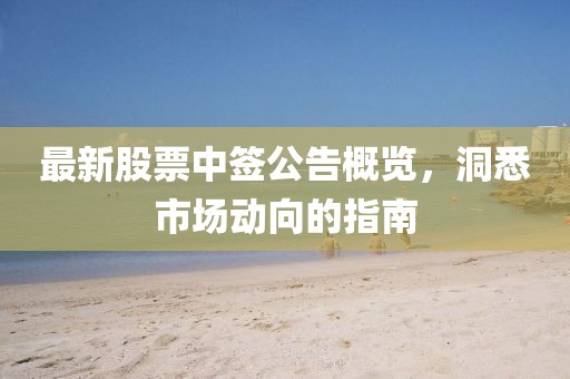最新股票中签公告概览，洞悉市场动向的指南