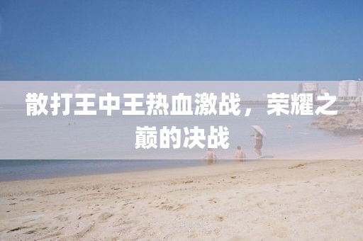 散打王中王热血激战，荣耀之巅的决战