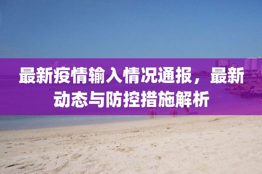 最新疫情输入情况通报，最新动态与防控措施解析