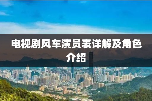 电视剧风车演员表详解及角色介绍
