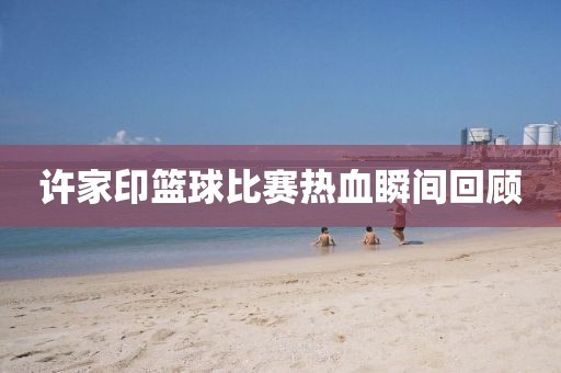 许家印篮球比赛热血瞬间回顾