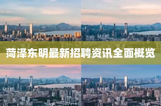 菏泽东明最新招聘资讯全面概览