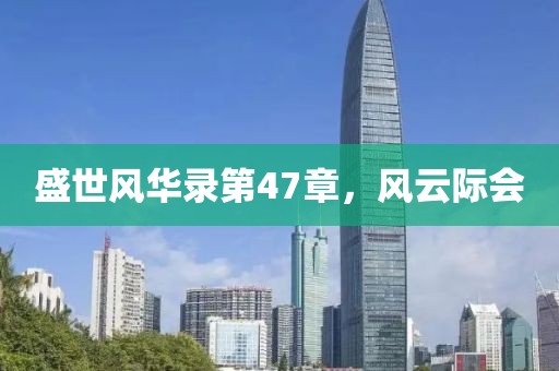 盛世风华录第47章，风云际会