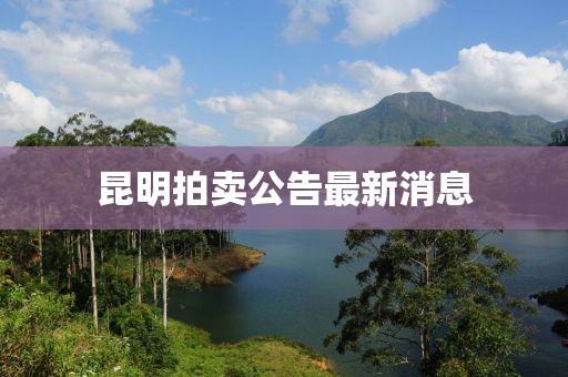 昆明拍卖公告最新消息