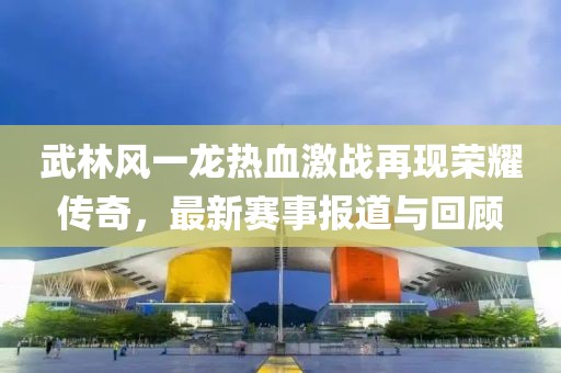武林风一龙热血激战再现荣耀传奇，最新赛事报道与回顾