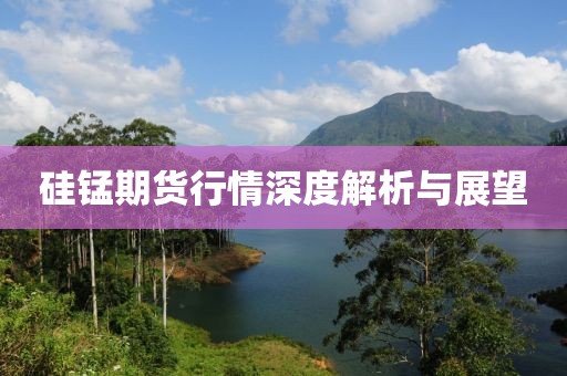 硅锰期货行情深度解析与展望
