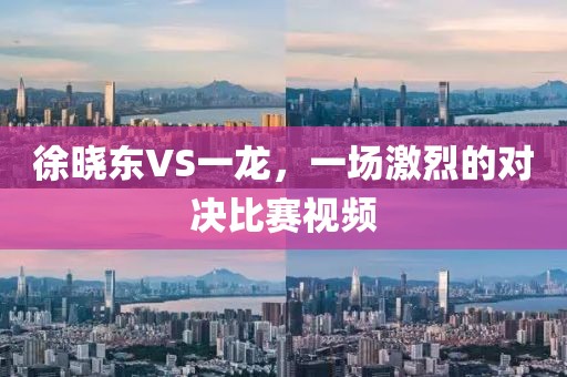 徐晓东VS一龙，一场激烈的对决比赛视频