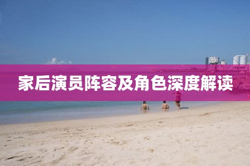 家后演员阵容及角色深度解读