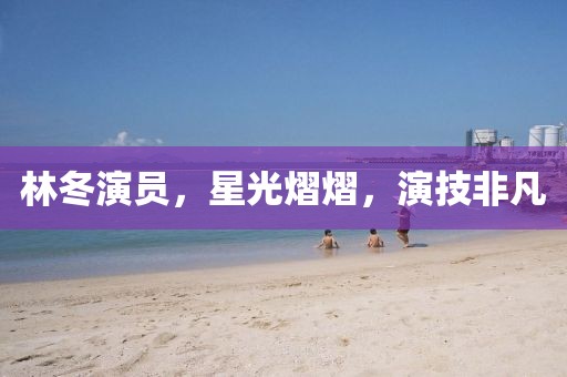 林冬演员，星光熠熠，演技非凡