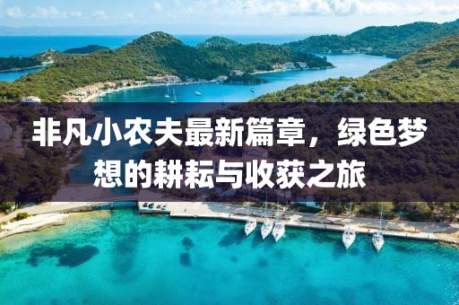 非凡小农夫最新篇章，绿色梦想的耕耘与收获之旅