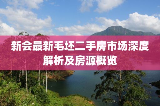 新会最新毛坯二手房市场深度解析及房源概览
