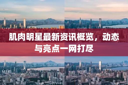 肌肉明星最新资讯概览，动态与亮点一网打尽