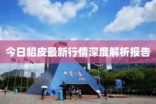 今日貂皮最新行情深度解析报告