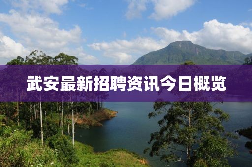 武安最新招聘资讯今日概览