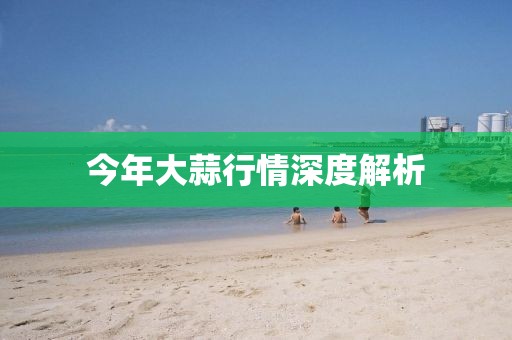 今年大蒜行情深度解析