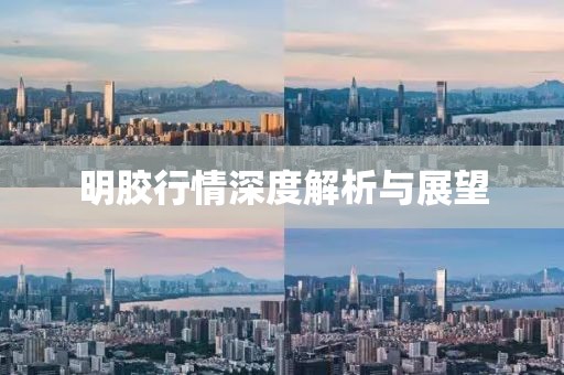 明胶行情深度解析与展望
