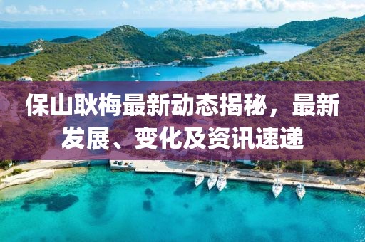 保山耿梅最新动态揭秘，最新发展、变化及资讯速递