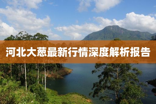 河北大葱最新行情深度解析报告