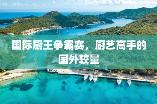 国际厨王争霸赛，厨艺高手的国外较量