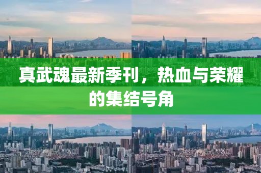 真武魂最新季刊，热血与荣耀的集结号角