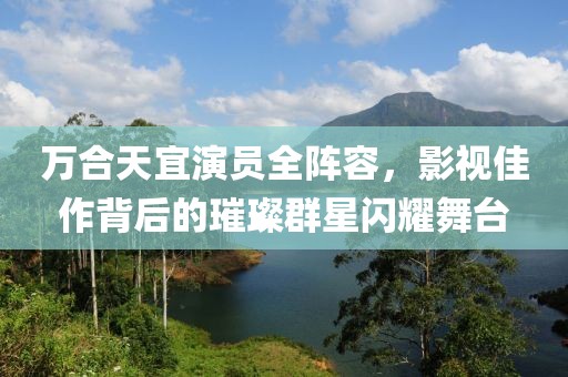 万合天宜演员全阵容，影视佳作背后的璀璨群星闪耀舞台