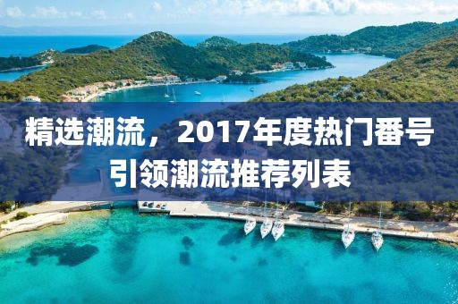 精选潮流，2017年度热门番号引领潮流推荐列表