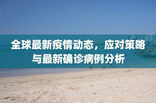 全球最新疫情动态，应对策略与最新确诊病例分析