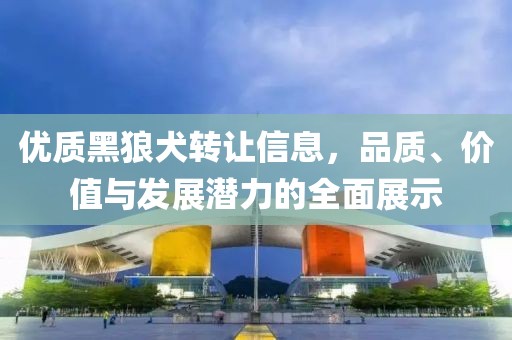 优质黑狼犬转让信息，品质、价值与发展潜力的全面展示