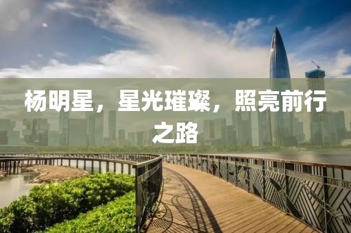 杨明星，星光璀璨，照亮前行之路