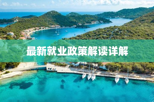 最新就业政策解读详解