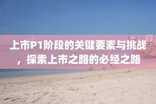 上市P1阶段的关键要素与挑战，探索上市之路的必经之路
