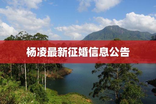 杨凌最新征婚信息公告