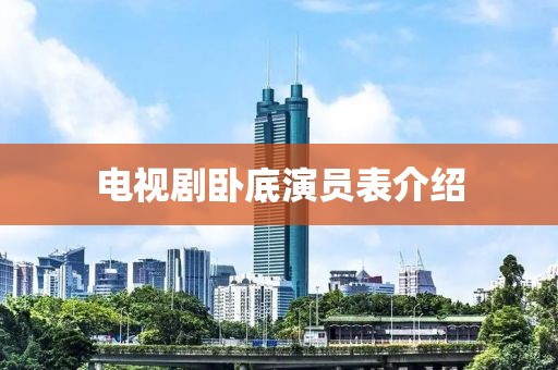 电视剧卧底演员表介绍