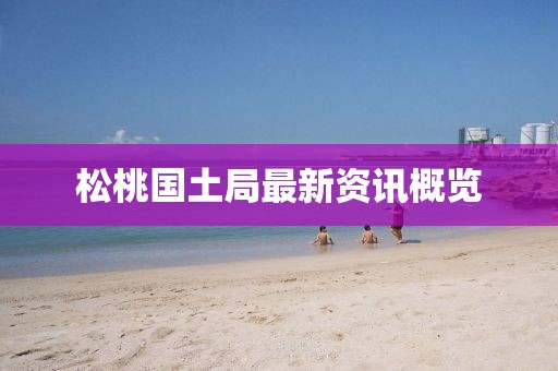 松桃国土局最新资讯概览