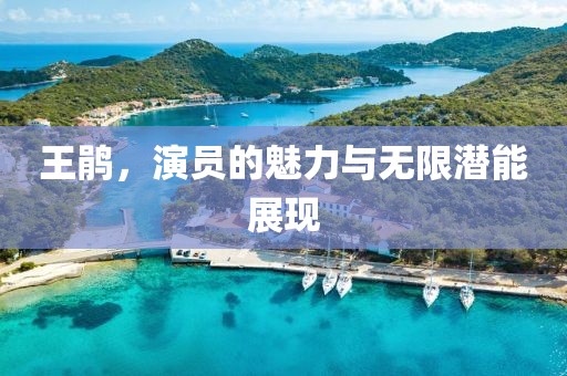 王鹃，演员的魅力与无限潜能展现