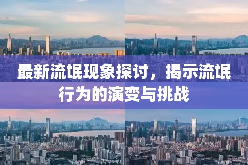 最新流氓现象探讨，揭示流氓行为的演变与挑战