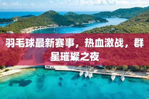 羽毛球最新赛事，热血激战，群星璀璨之夜