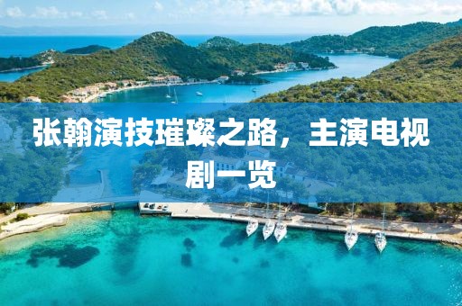 张翰演技璀璨之路，主演电视剧一览