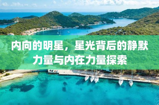 内向的明星，星光背后的静默力量与内在力量探索