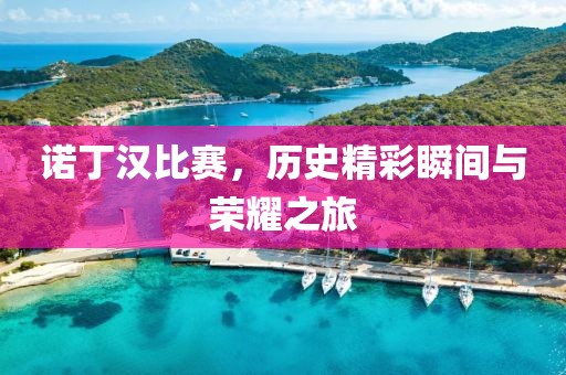 诺丁汉比赛，历史精彩瞬间与荣耀之旅