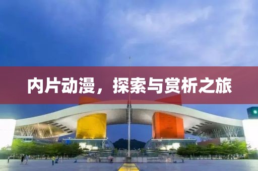 内片动漫，探索与赏析之旅
