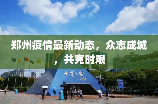 郑州疫情最新动态，众志成城，共克时艰
