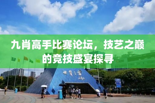 九肖高手比赛论坛，技艺之巅的竞技盛宴探寻