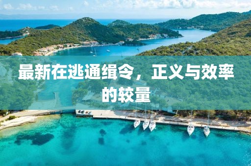 最新在逃通缉令，正义与效率的较量