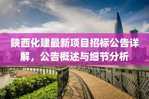 陕西化建最新项目招标公告详解，公告概述与细节分析