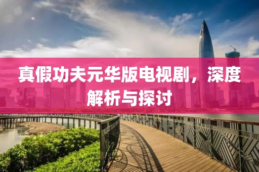 真假功夫元华版电视剧，深度解析与探讨