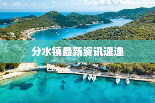 分水镇最新资讯速递
